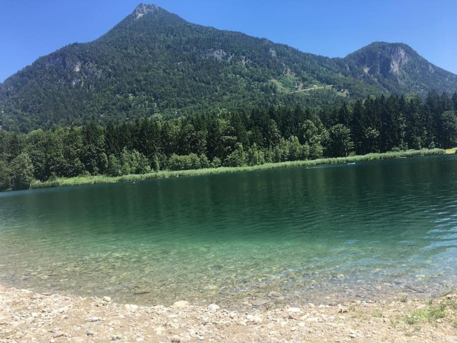 Topmodernes Studio - Sommer Im Bayerischen Inntal Brannenburg Dış mekan fotoğraf